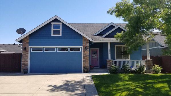 Kodiak Premium Painting