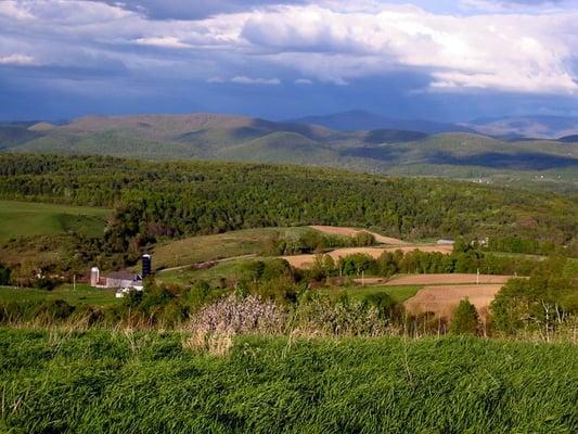 Heritage Manor Realty