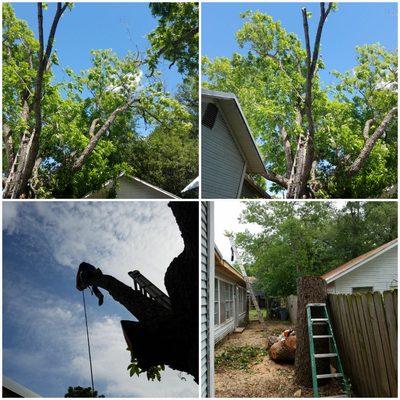 Cowboy Land Clearing and Cedar Removal