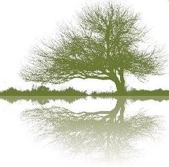Helping you find Solace and the courage to heal
