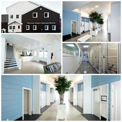 Project: NKLA (No-Kill Los Angeles)
By Esplanade Builders, Inc. - General Contractors/Tenant Improvements