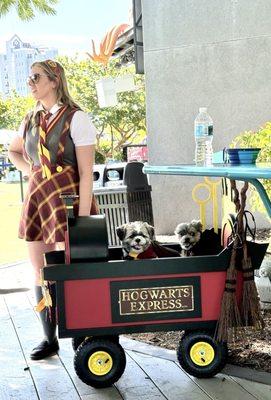 Howl-O-Ween Dog Costume Contest