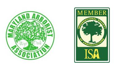 Appalachian Tree Service