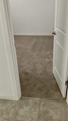 Heaven's Best Carpet Cleaning
