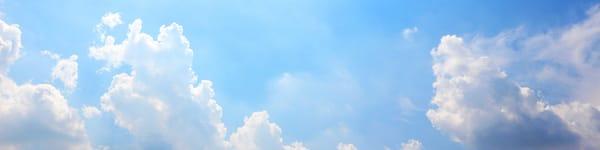 Baywide Health Insurance