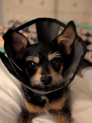 Beverly Robertson Veterinary Clinic