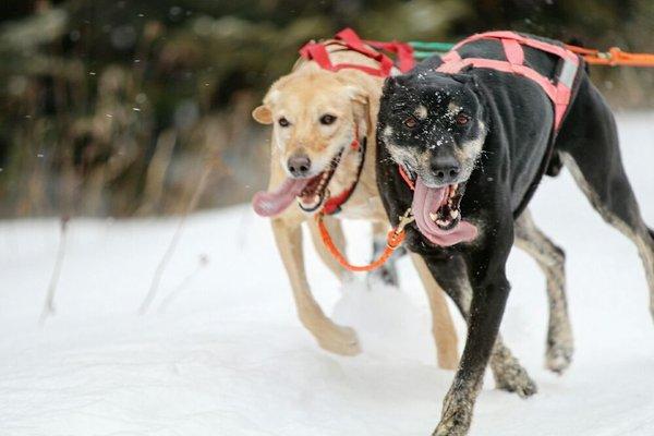 Jaana and Seppo two of our veteran leaders.