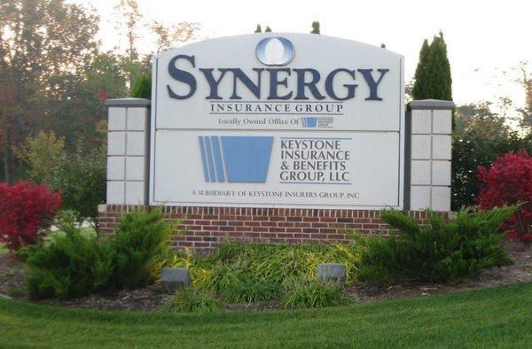 Synergy Insurance Group
