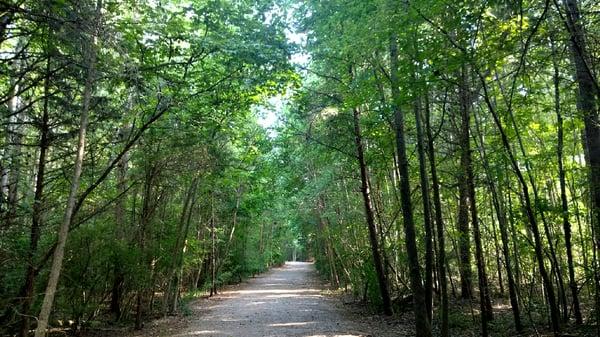 Well-maintained park with not many visitors