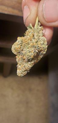Coastal Buds Dispensary