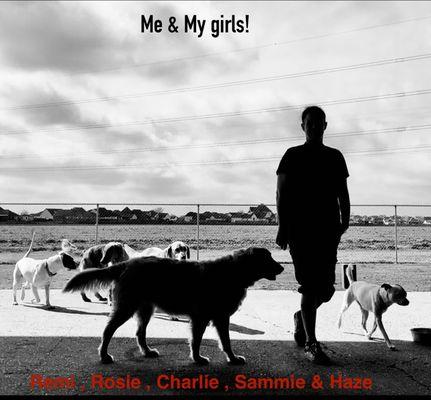 Happy Pets Hotel & Dog Training Center