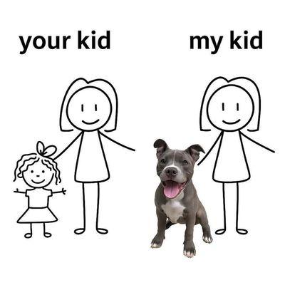 Loving Care Pet Sitter and Walkers