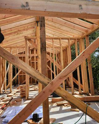 Framing: Volted ceiling and interior walls