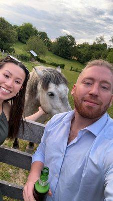 Fallen Tree Farm Bed and Breakfast