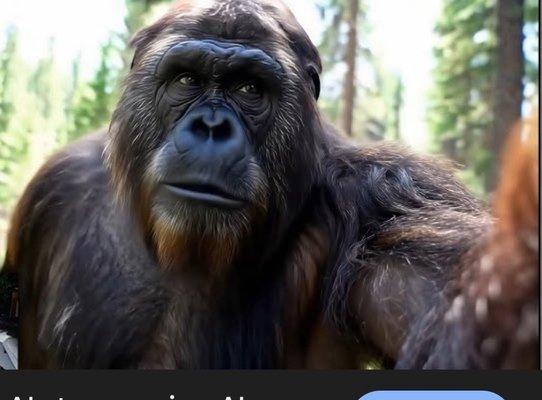 Kason's All Star Donuts