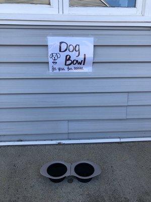 Hydrate your fur babies while you wait for your laundry