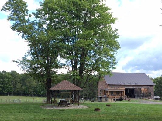 Sharon's Horse Heaven