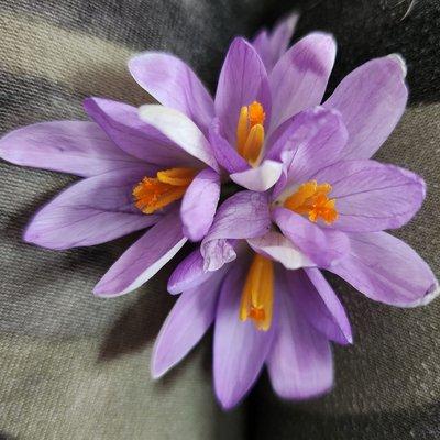 Mow And Grow Lawncare