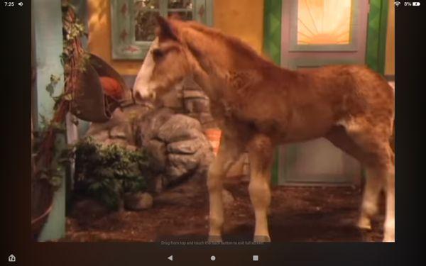 PBS - Public Broadcasting Service