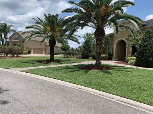 Creative Edge Landscape & Lawn Care LLC of Plant City