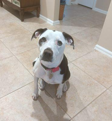 Friends of Paws in Prison