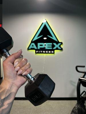 Apex Fitness