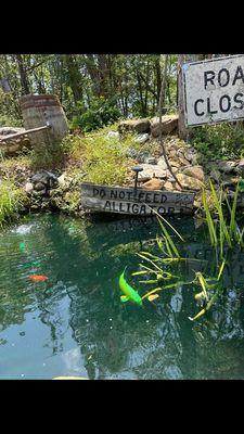 Phoenix Landscaping & More