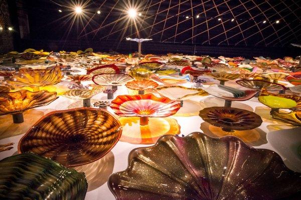 Vidrio, a Mediterranean restaurant in Raleigh, NC boast a 30-by-50 foot wall of hand-blown glass pieces.