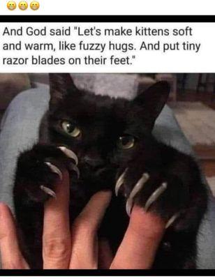 Western Trails Chiropractic