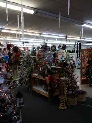 Ben Franklin Family Center