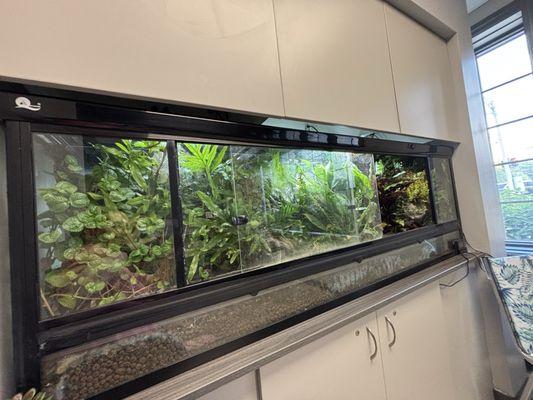 Ark Veterinary Hospital