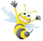 The Rolesville Buzz