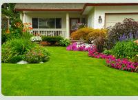 Sabia Landscaping & Tree Service