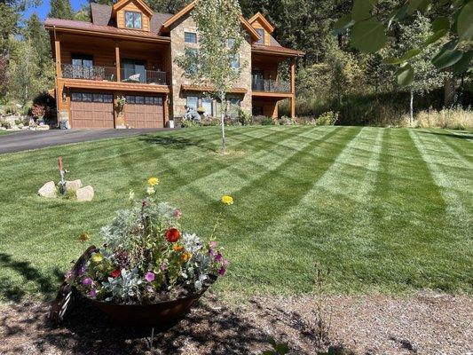 Ivy Outdoor Services