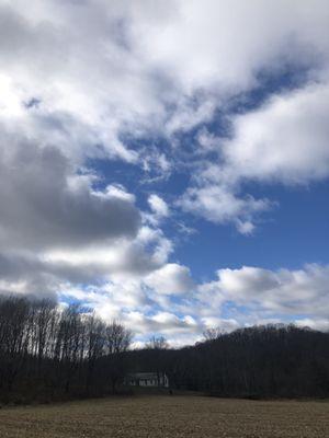 Beaverbrook Tree Farm