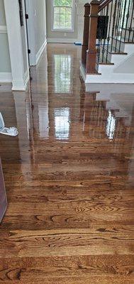 Georgia Peach Cleaners and Handyman services