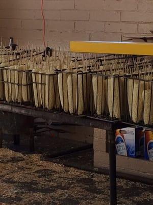 La Habra Lion's Corn Festival