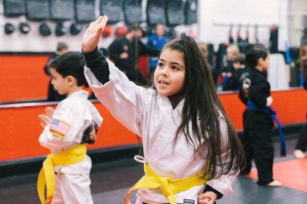 SDSS Martial Arts of Ridgefield