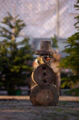 Los Altos High School Christmas Tree Lot