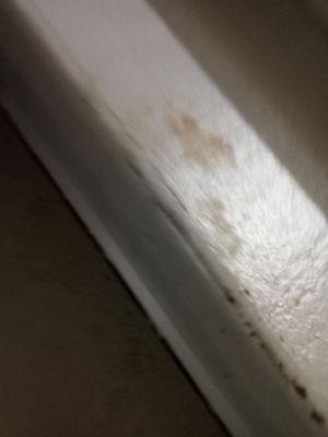 Northern Plaza Assoc