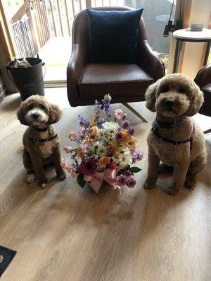 Flowers, flower arrangement