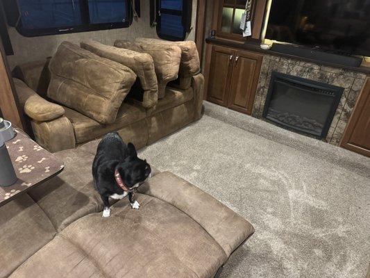 Potter Rug & Furniture Cleaners