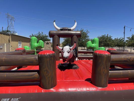 Mechanical Bull Ride Experience