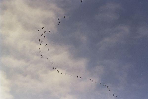 my developed film photo