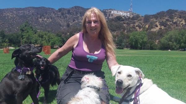 LA's Dog Trainer