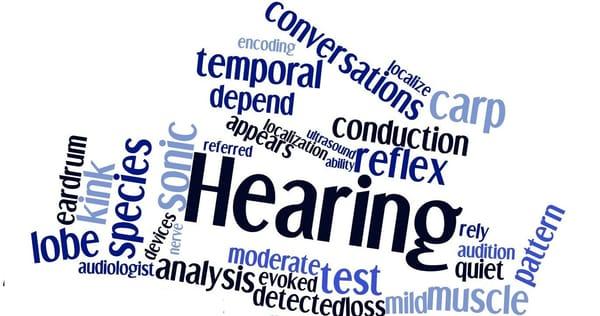 Hearing Healthcare Services