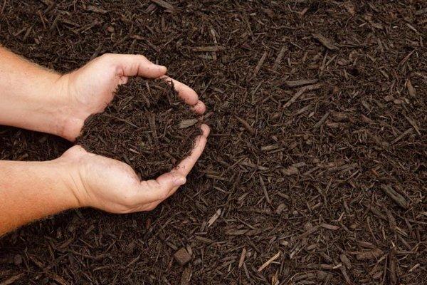 Professional Landscaping