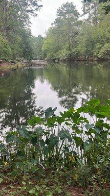 Woodsy Hollow Campground