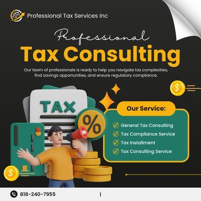 Professional Tax Services