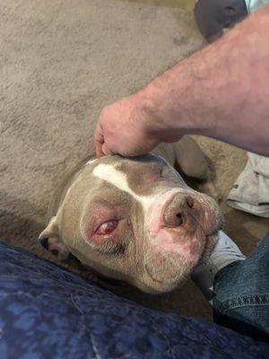 Warner Robins Animal Hospital